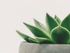 中國(guó)RoHS的解讀文件（征求意見(jiàn)稿）