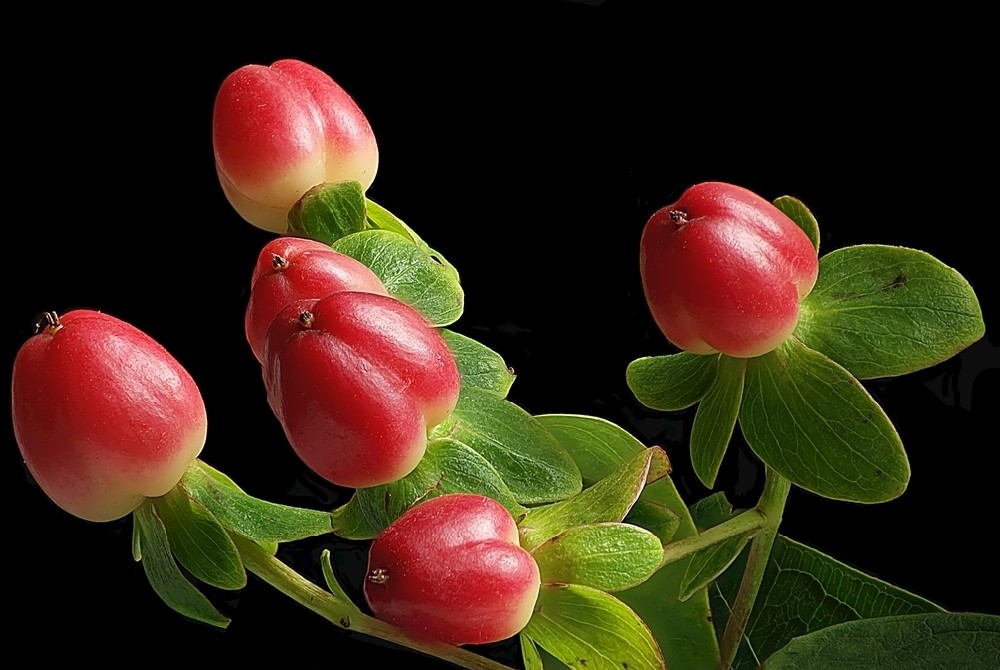 輻照食品相關(guān)標(biāo)準(zhǔn)匯總
